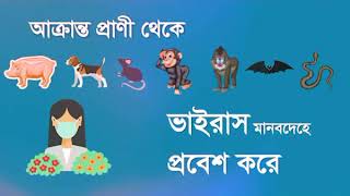 করোনা ভাইরাস কিভাবে ছড়ায়, করোনা ভাইরাস কি? coronavirus