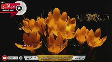 Makkah Live سورة النساء فَإِنَّكَ أَنتَ الْعَزِيزُ الْحَكِيمُ ١ شعبان ١٤٤٢ھ عبدالرحمان السديس