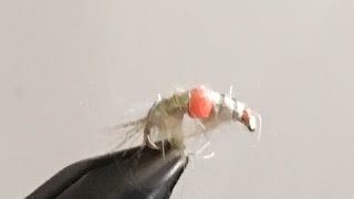 Hot Bead Flashback Pregnant Scud