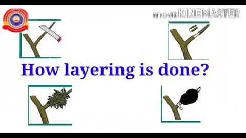 KRSMA#Standard 7 Basic Science Part 3 Chapter 1 Reaping Gold From Soil.