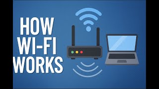 Celebrity How Does Wi-Fi Even Exist? Net Worth