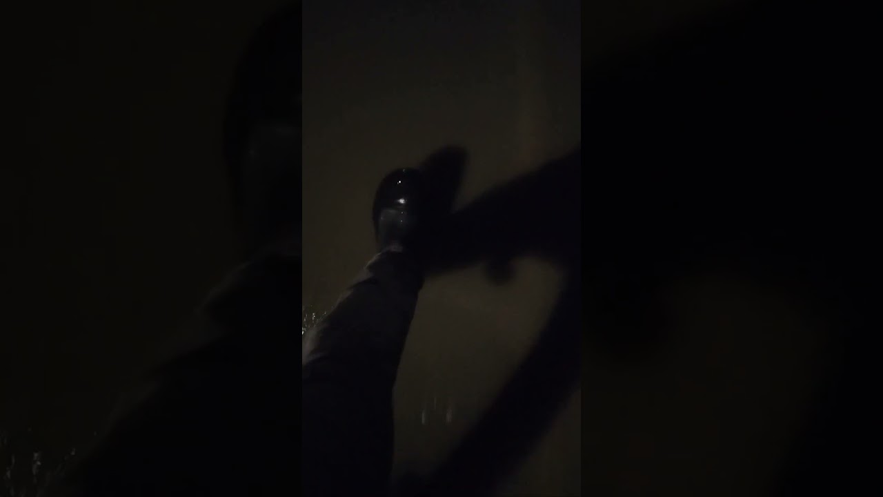 #tovelo  #trueromance #tovelomusic