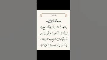سوره النصر قرآن كريم #قرآن #قرآن_كريم #اكسبلور #fyp #لايك