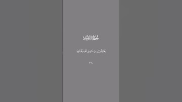 سورة التوبة#quran #quran_alkarim #quranvideo #surah #sura #قران #قران_كريم #قران_كريم_ارح_سمعك_وقلبك