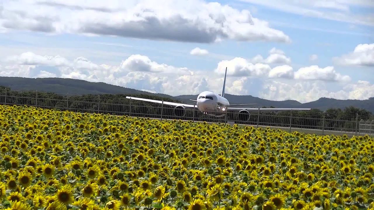 飛行機 ひまわり 女満別空港 Youtube
