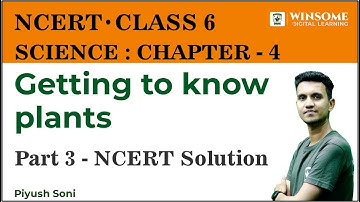 Class 6 Science Chapter 4 | Getting To Know Plants | Part 3 - NCERT Exercise | Piyush Soni