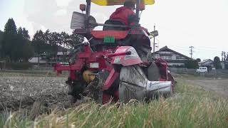 畔塗作業