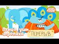 Птица, уши, черепаха - Бодо Бородо | ПРЕМЬЕРА 2022! | мультфильмы для детей 0+