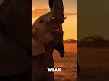 Baby Elephant Cries After Being Abandoned… What Happens Next Will Melt You 🐘💔