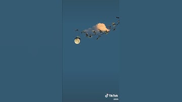 ايات من//سورة السجدة//