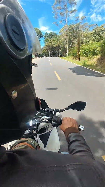 Momotoran # GardenTea