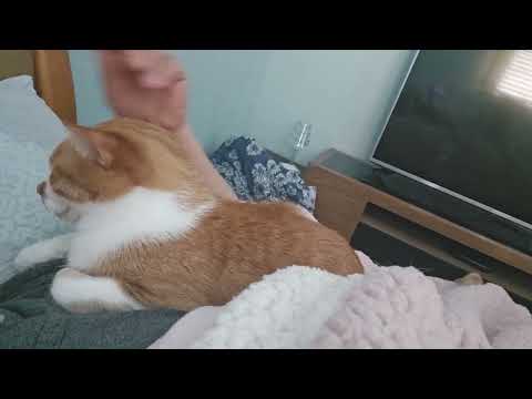 일어나라고 일어나라고요 ㅋㅋ  Wake up, wake up  butler!
