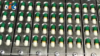 RoyalPharma NSF-800 Automatic Hard Capsule Sealing Machine screenshot 4