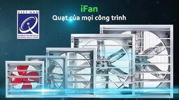 Nhà Máy Sản Xuất Quạt Thông Gió Lớn Nhất Việt Nam || NTT
