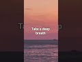 Clear your mind #calmyourmind #relaxingmusic #meditationmusic #peace #softmusic #stressrelief