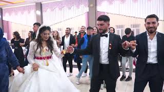 Beritan & Mehmet   Şebi aşireti  HOZAN KERİM  kemençe  Grani  2023 Yok Böyle  Düğün !!!!