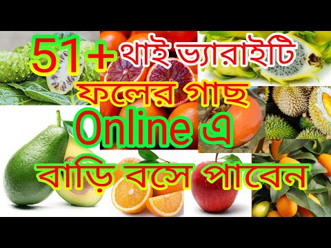 ভিডিও: দেশে ফলের গাছ