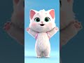 Cute belly dance 🐱#billi#pyaribilli#catvideo#hindishorts#desiviral