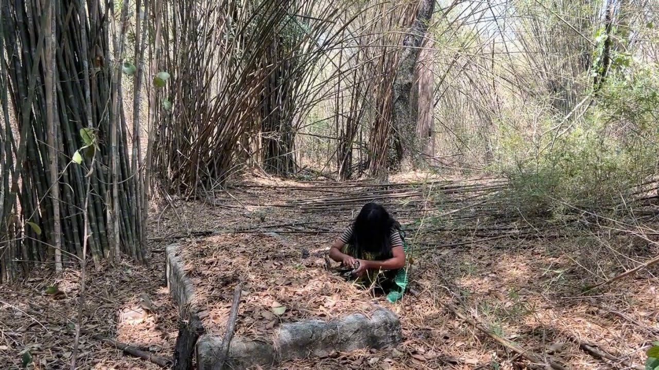 เข้ามาในป่าคนเดียว“แล้วเจอแบบนี้เป็นใครจะกล้าอยู่#ผีตายท้องกลม ￼