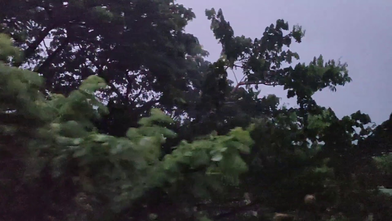 MORNING CALM AND QUIET NATURAL SOUNDS KUTTIPURAM