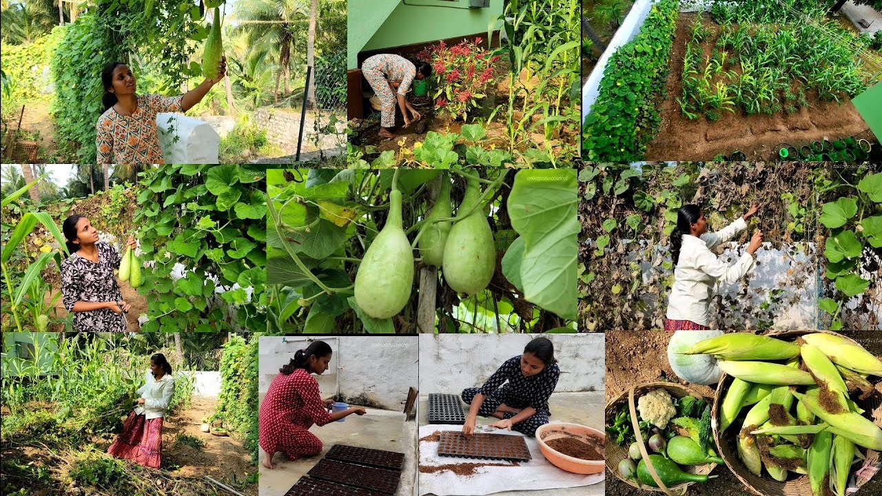 நம்ம வீட்டு தோட்டத்தில் 4 மாசமா எவ்வளவு வேலை அறுவடைனு பாருங்க Our dream vegetable home garden ideas🌱