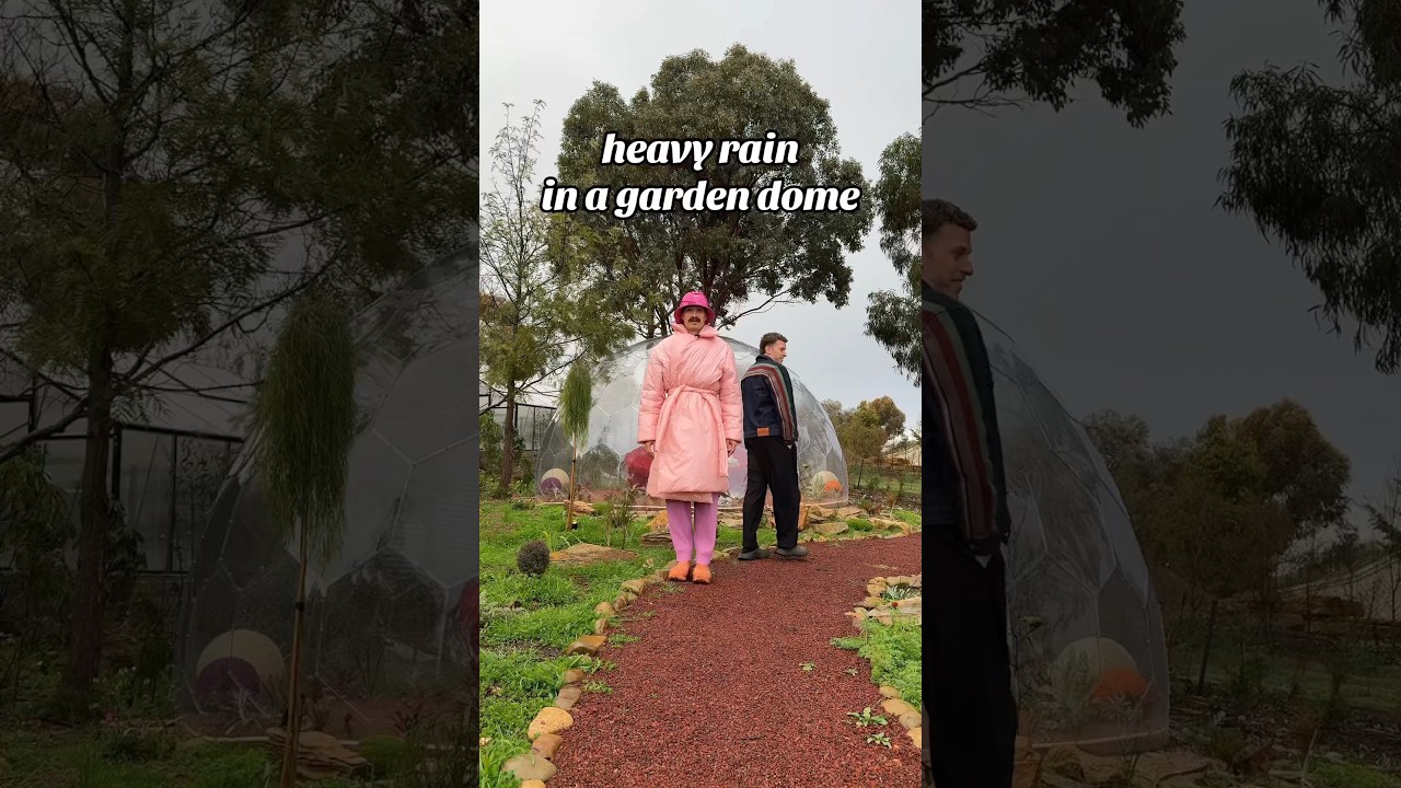 This is your sign to build a garden dome 🌧️ 