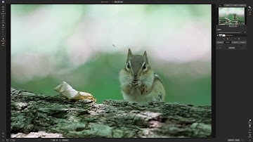 EASILY Remove that NASTY Color Cast!! (On1 Photo RAW 2020)