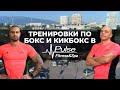 Тренировка по Box&amp;KickBox в Pulse Fitness &amp; Spa