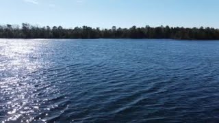 Check out this drone footage over Estell Manor