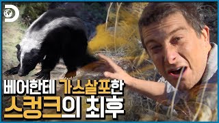 방귀 맞고 멘탈 나간 베어! 결국 칼 꺼냄ㄷㄷ [Man vs Wild]