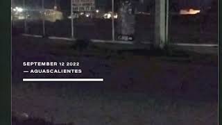 CJNG Sends Message To Cartel De Sinaloa In #aguascalientes