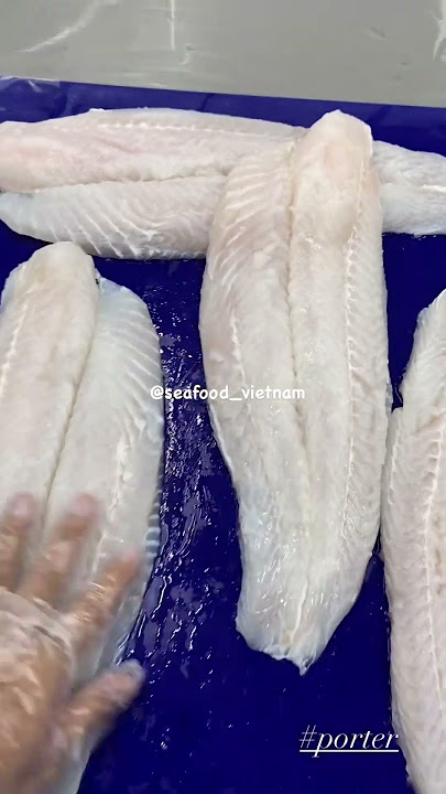 Basa fillet 18oz up (510g up) big size x Vietnam factory || Porter Seafood #basa #pangasius #swai
