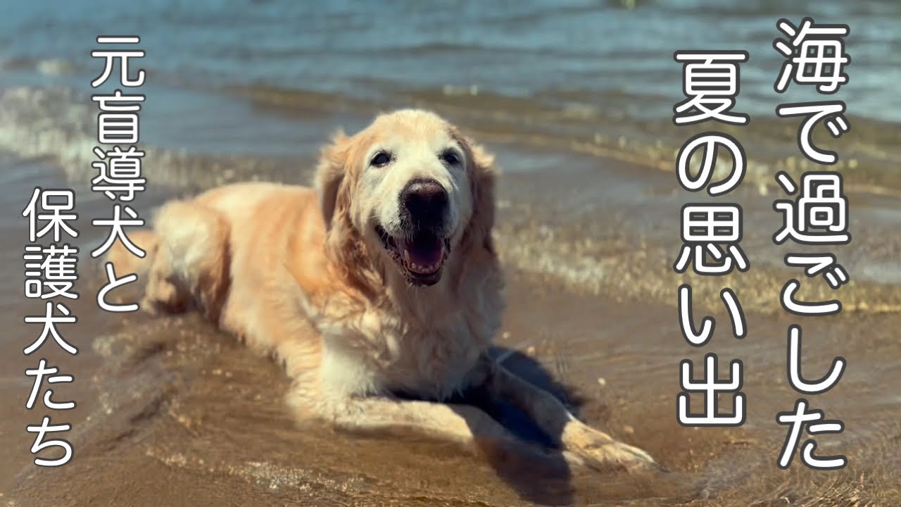 石川県にある千里浜へ行って来ました！