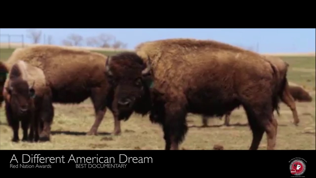 14th Red Nation Film Festival 2017 The Authentic Voice of American Indian & Indigenous Cinema