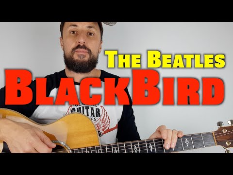 Blackbird By The Beatles Lesson