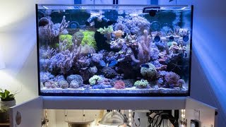 Red Sea Reefer 250 DIY Refugium and Tank Update