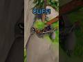 Cliff! #indiegamedev #indiegames #coopgames #raccoons #newgames