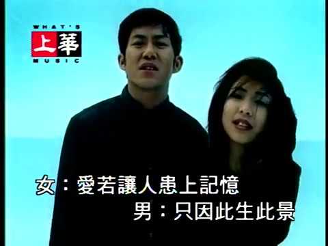 許茹芸 熊天平 - 愛情電影 MV (DVD)