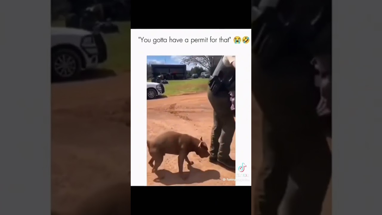 Hey, sir? Do you have a permit for this?