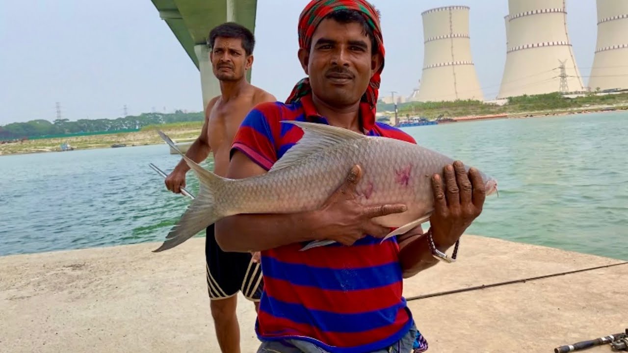 লালন শাহ সেতুর নিচে বড় বড় মাছ ধরা পড়ছে || Big fish are being caught under the Lalon Shah bridge