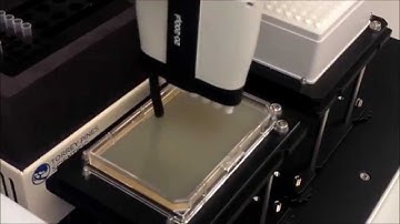 Transformations and Plating Hudson Robotics