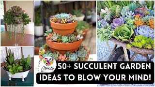 50+ Succulent Garden Ideas to blow your mind! Must See!