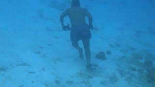 Caracas Baai 2 Curaçao