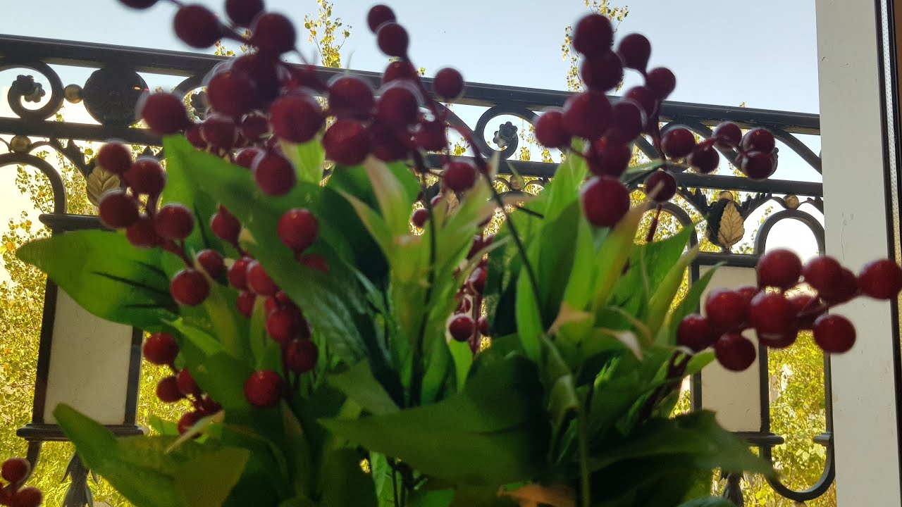 HAVE A GOOD DAY TO ALL.SLS FOR MY WH