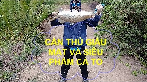 Câu cá chẽm Cần Giờ và siêu phẩm lên cá siêu to || Thiên Nhiên Muôn Loài