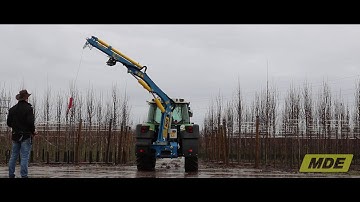 Efficient tree loading