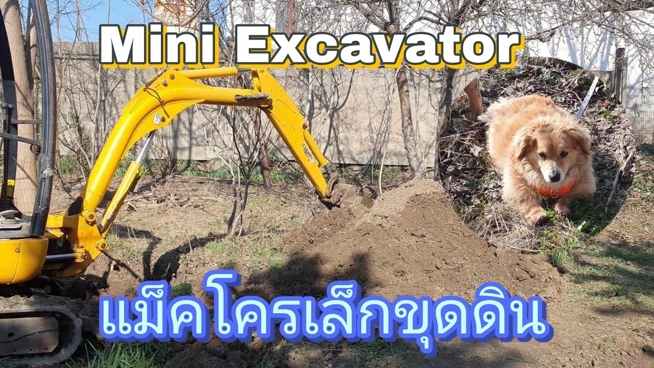 ชีวืตบ้านๆ ชมรถแม็คโครเล็กทำงานในสวน Mini excavator น้องหมาก็มาด้วย 