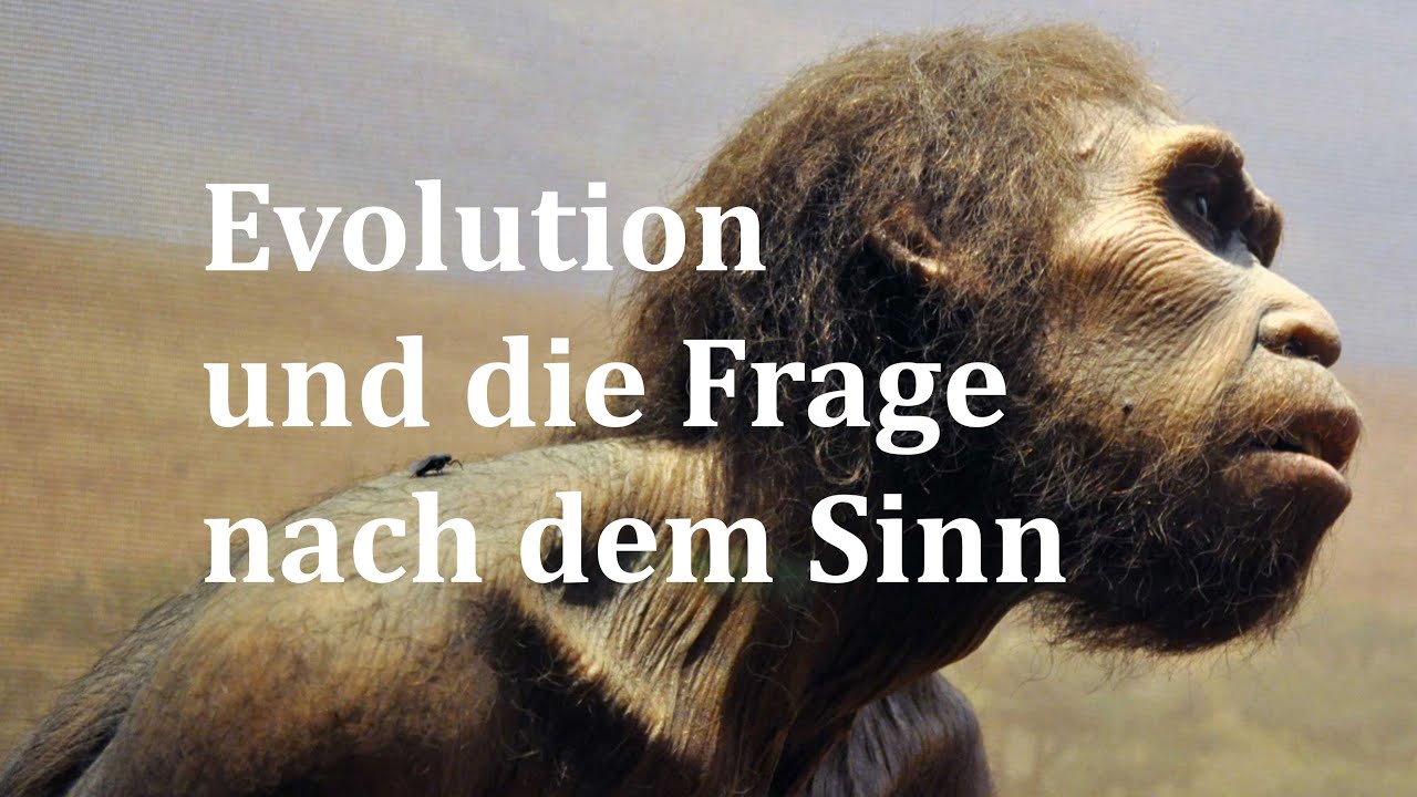 Evolution und die Frage nach dem Sinn