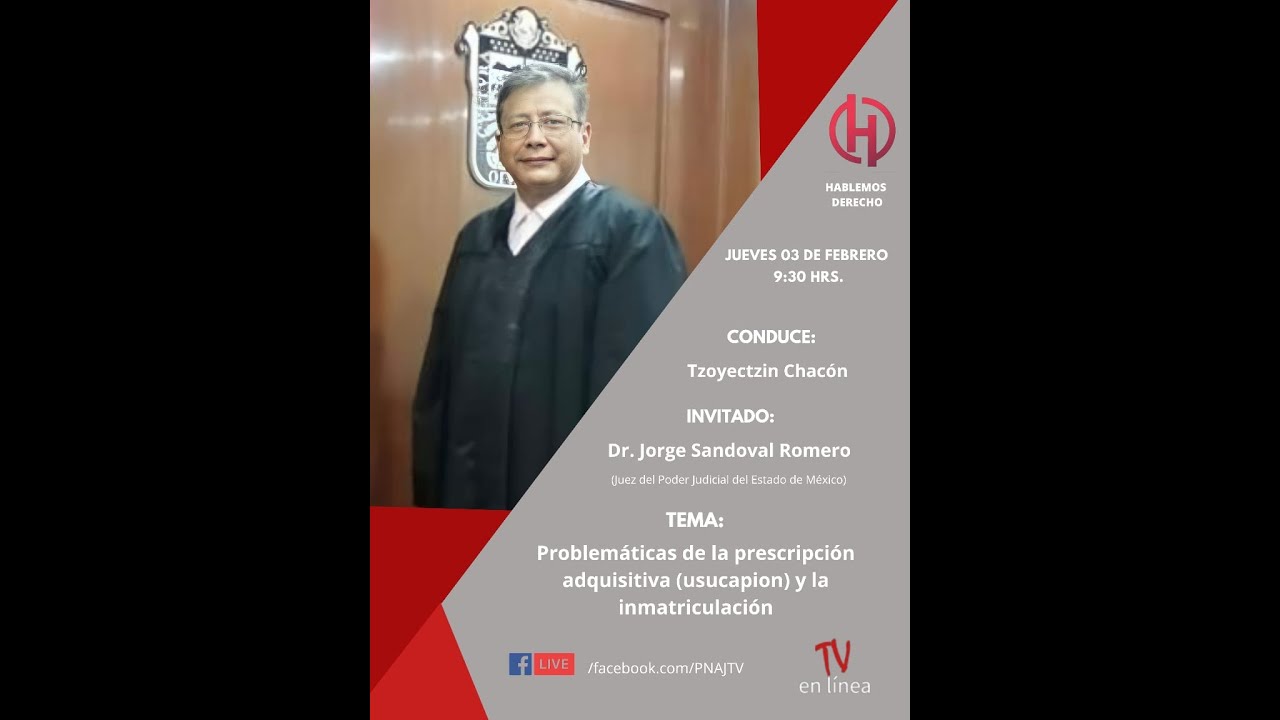 PROBLEMÁTICAS DE LA PRESCRIPCIÓN POSITIVA (USUCAPION) Y DE LA INMATRICULACIÓN JUDICIAL.