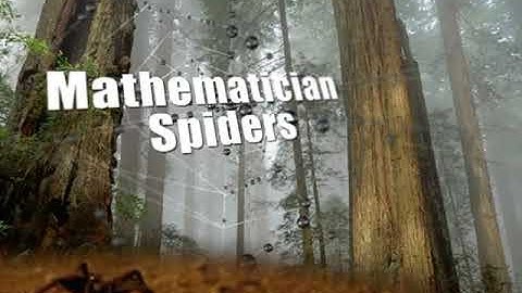 Building the Web- Mathematician Spiders